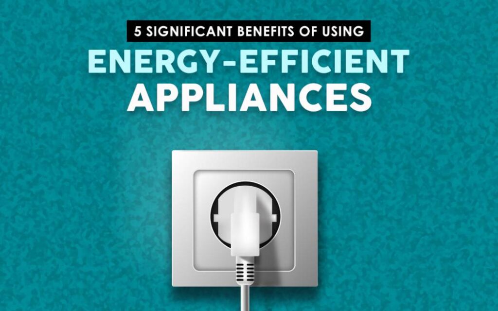 The Impact of Smart Home Appliances on Energy Efficiency