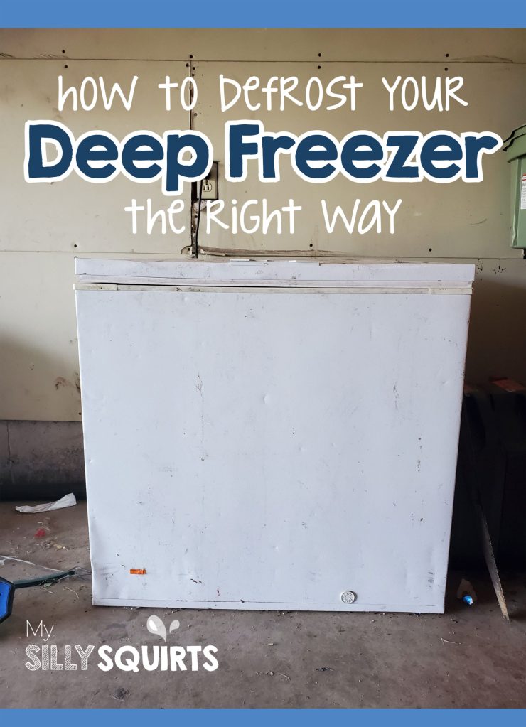 Are There Any Hacks For Defrosting A Freezer Quickly?
