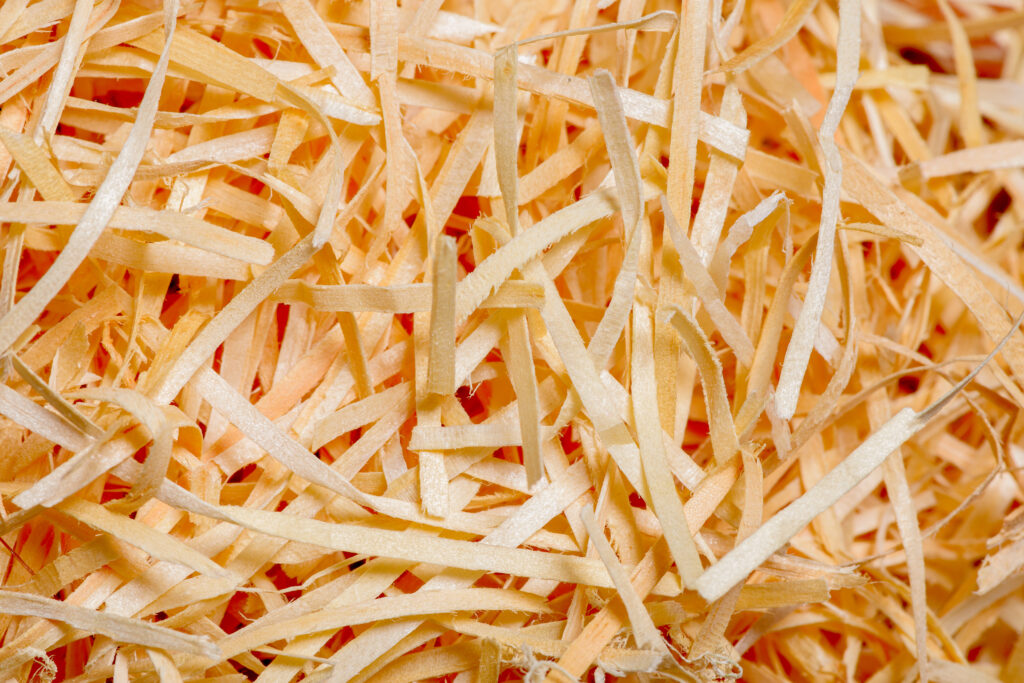 Can I Use Citrus Peels To Freshen Up My Garbage Disposal?